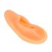 Ear Display Mould Waterproof Silicone Educational Professional Ear Model for Hospital(Right) - Buy Online on SooperMarket.com