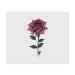 2 x "Pink Rose" microfiber cleaning cloths (LC00024621)