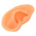 Ear Display Mould Waterproof Silicone Educational Professional Ear Model for Hospital(Right) - Buy Online on SooperMarket.com
