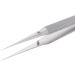 Jojomi Surgical Tweezers - Precision Hair Tweezers for Splinter Removal | Non-Magnetic Stainless Steel Straight Head - Buy Online on SooperMarket.com