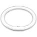 T5 22W Circular Bulb Replacement for Zadro 7-in Surround Light by Technical Precision Replacement Bulb for Lighted Mirror / Makeup Mirror - G10Q-4 4-Pin Base - 6500K Cool Daylight - 12000 Hours - Buy Online on SooperMarket.com