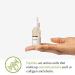 Potions Peptide Ampoule for Face - Collagen Support & Elasticity | Korean Skincare | Cruelty-Free & Hypoallergenic - 50ml - Buy Online on SooperMarket.com