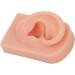 Socobeta Flexible Human Ear Model - Reusable Fake Ear for Acupuncture & Earrings Display (Light Complexion) - Buy Online on SooperMarket.com