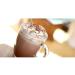 Rombouts belgian hot chocolate instant hot chocolate sticks 100x30g - Buy Online on SooperMarket.com