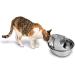 Pioneer Pet Stainless Steel Fountain Raindrop Design - Buy Online on SooperMarket.com