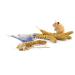 SIPW - Small Animal Hamster Caged Bird Budgie Millet Sprays Sprigs (5 x Sprays of Millet)