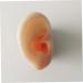 Silicone Ear Models for Practice - 1 Pair Ear Picking & Display Samples - Buy Online on SooperMarket.com