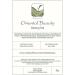 Taiwanese White Tip Oolong Tea - Oriental Beauty Wu Long Tea - 20g - Buy Online on SooperMarket.com