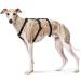 Buy HUNTER Vario Rapid Safety Harness 48-70 cm - Black | International Shipping Available - Buy Online on SooperMarket.com