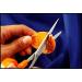 Fiskars SewSharp Scissors Sharpener - Keep Your Scissors Sharp and Ready (98547097) - Buy Online on SooperMarket.com