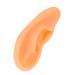 Ear Display Mould Waterproof Silicone Educational Professional Ear Model for Hospital(Right) - Buy Online on SooperMarket.com