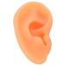 Ear Display Mould Ear Model Soft Lifelike Silicone Flexible for Hospital(Left)