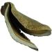 Lucky Reptile DB-01 Nature's Treasure Decor Box - Buy Online on SooperMarket.com