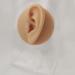 Soft Silicone Human Ear Simulation Template Jewelry Display for Earrings Suitable for Ear Lobe Drilling Exercises and Exercises - Buy Online on SooperMarket.com