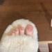 Decorative nail patch ice-cold nude toenails toenails toenails finished nail patches. - Buy Online on SooperMarket.com