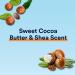 Suave Deodorant Women Antiperspirant Cocoa Shea Butter 48-Hour Odor & Wetness Protection with Essential Oils anti-staining no baking soda 2.6 oz (Pack of 12) - Buy Online on SooperMarket.com