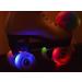 Epic Allure Light-Up Quad Roller Skates - White, Youth 3 US - Youth 3 - Buy Online on SooperMarket.com