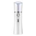 Mikinona 1pc Facial Mister Sprayer Skin Care Humidifier Portable Humidifer Spray Humidifier White 14.1x4cm White