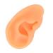 Rubber Fake Ear Model for Jewelry Display and Piercing Practice (Right Ear) - Buy Online on SooperMarket.com