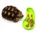 LSTCPGLAI 2 Pieces Shallow Reptile plate Reptile Food Water Bowl Used for Tortoise Corn Snake Crawl Pet Drinking and Eating(Green) - Buy Online on SooperMarket.com