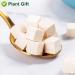 Buy 100% Natural Poria Cocos 200g - Premium Fu Ling Medicinal Herb from China - Dried Bulk for Health Benefits - Buy Online on SooperMarket.com
