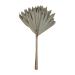 Vickerman Natural Botanicals 20" Natural Palm Sun Stem Real Preserved Foliage Stems Includes 12 Stems Per Pack