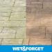 Wet And Forget-Wet & Forget Gal Moss Mold & Mildew Stain Remover - Buy Online on SooperMarket.com