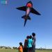 HENGDA Shark Kite - Easy to Assemble and Fly | for Kids and Adults | Beach, Park, Yard | 49x53in Black - Buy Online on SooperMarket.com