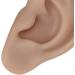Silicone Ear Model Reusable Practice Experience Artificial Ear Model Easy to Wear for Ear Piercing (Dark Skin Color) - Buy Online on SooperMarket.com