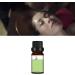 Tea Tree Massage Oil - Moisturizing Aroma Fragrance Oil for Relaxation & Skin Care | Gentle & Portable for Face & Body - Buy Online on SooperMarket.com