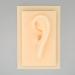 Silicone Ear Model Vivid Shape Durable Wearable Comfortable Soft Human Ear Model Glossy Texture Safe Practical for Teaching Demonstration(Left) - Buy Online on SooperMarket.com