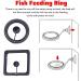 Taicols 2 Pack Feeding Ring Aquarium and Tank Floating Feeder Ring for Goldfish and Other Smaller Fish Aquarium Feeder Feeding A Aquarium Square Round Fish Food Feeders with Suction Cupquarium Fish - Buy Online on SooperMarket.com
