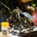 Sera O-Nip Nature 100ml - High-Usability Fish Feed with 7% Krill | Premium Adhesive Tablets for Healthy Aquarium Variety | 60g Pack - Buy Online on SooperMarket.com