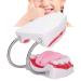 Portable Dental Model for Kids - Lifelike Teeth Brushing Demonstration & Educational Teaching Material - Buy Online on SooperMarket.com