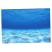 LOVIVER Side Tank Background Underwater Tank Background Poster Backdrop Decoration Paper 61x30cm