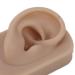Reusable Human Ear Model - Right Ear for Piercing Training & Display (Brown) - Buy Online on SooperMarket.com