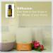 doTERRA Marjoram Essential Oil 15 ml - Premium Quality International Shipping Available - Buy Online on SooperMarket.com