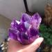 1pcs Natural Amethyst Scepter Quartz Crystals Cluster Minerals Stones fine Home Decoration Gifts Suitable for Furniture Decoration Full of Texture 50-80mm - Buy Online on SooperMarket.com