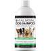 The Healthy Dog Co - 6 -in -1 purely natural dog shampoo and conditioner - dog shampoo against bad smell - gentle and moisturizing long hair - dog shampoo puppy shampoo - 500ml