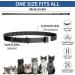 YOTANGO Cat Collar Repellent 4 Pack Cat Collar-Built-in Pant-Based Formula Strong Repellency Slow Release Pleasant Aroma Waterproof (PurpleBlack) - Buy Online on SooperMarket.com