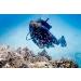Suunto Zoop Novo Dive Computer Wrist Watch - Best Price & Free Shipping - Buy Online on SooperMarket.com