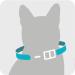 Sergeant's Guardian Pro Flea & Tick Cat Collar - 1 Count - Buy Online on SooperMarket.com