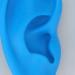 Silicone Soft Ear Model for Earrings Display with Stand - Practice Tool for Studs & Teaching - Realistic Imitation Ear - Buy Online on SooperMarket.com