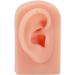 Socobeta Flexible Human Ear Model - Reusable Fake Ear for Acupuncture & Earrings Display (Light Complexion) - Buy Online on SooperMarket.com