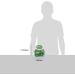 Andes Creme De Menthe Thin Mints 240 Count - Refreshing Mint Chocolate - Pack of 1 - Buy Online on SooperMarket.com