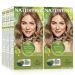 Naturtint Permanent Hair Color 8N Wheat Germ Blonde (Pack of 6) Ammonia Free Vegan Cruelty Free up to 100% Gray Coverage Long Lasting Results 1 Count (Pack of 6) Wheat Germ Blonde (6 Pack)