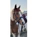 Countrypride ANATOMICAL BRIDLE ABRAM DIAMANTE BROWBAND WITH ANTI SLIP RUBBER REINS BLACK & BROWN Black Pony - Buy Online on SooperMarket.com