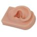Silicone Ear Model for Piercing Training | Soft Flexible & Reusable Human Ear Display (Dark Skin Color) - International Shipping Available - Buy Online on SooperMarket.com