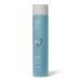 Ion Clarifying Shampoo