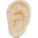 Human Body Model Acupuncture Pressure Points and Meridians 40cm - Buy Online on SooperMarket.com